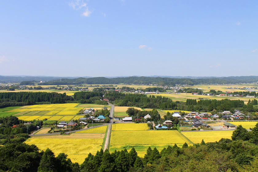 千葉県の三大米産地いすみの田園風景