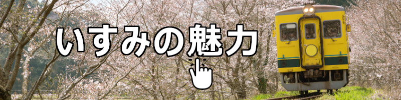 満開の桜と菜の花の風景を走るいすみ鉄道いすみ市魅力サイトへのリンク