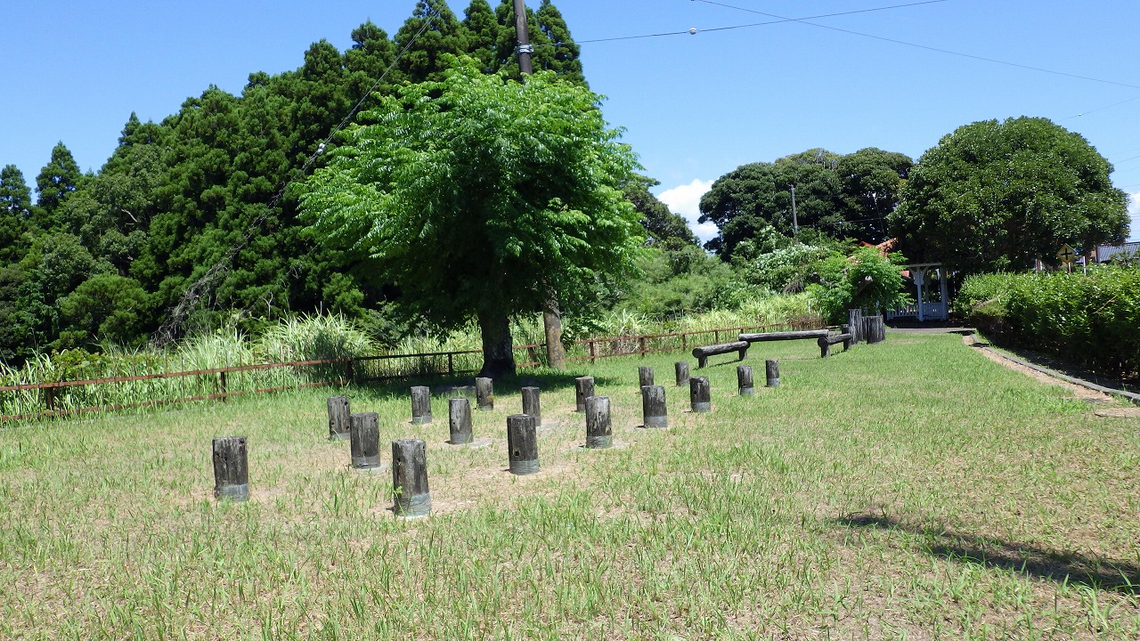 ばら公園の飛びまる太と平均台が写っています。
