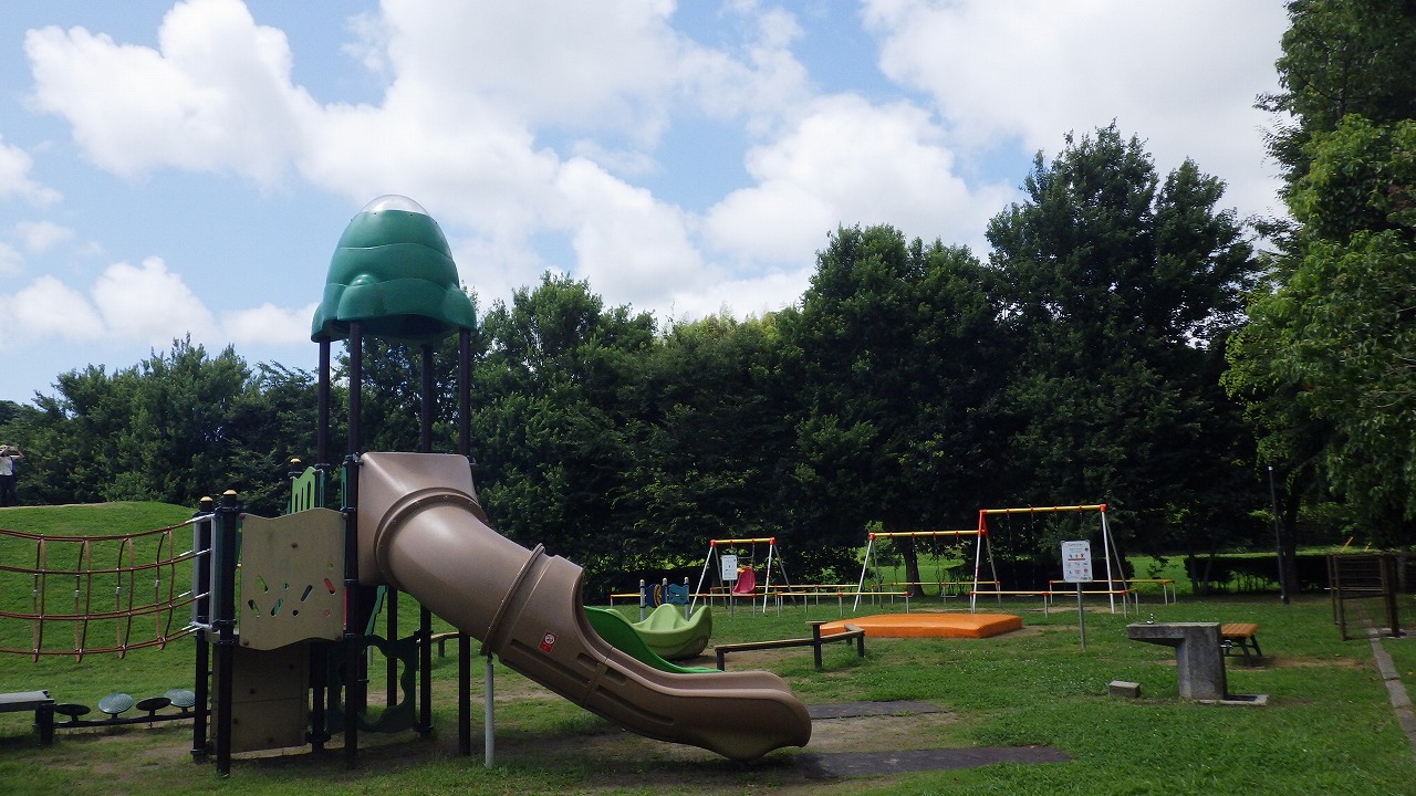 古沢公園 遊具の写真（複合遊具とブランコ）