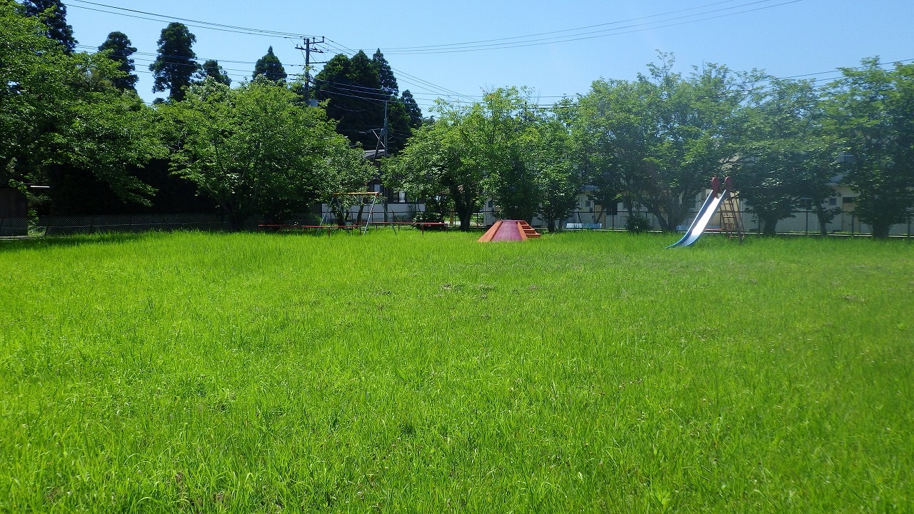 今関児童遊園の全体が見える写真。