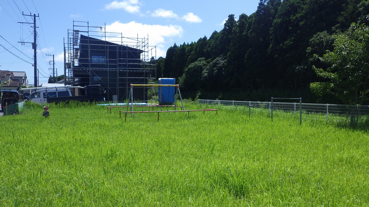 貝須賀児童遊園の芝生が生い茂っており、奥にブランコや鉄棒など小さい子が遊べる遊具があります