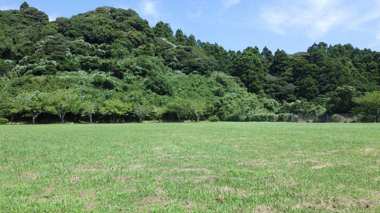 大原台公園の芝生の写真