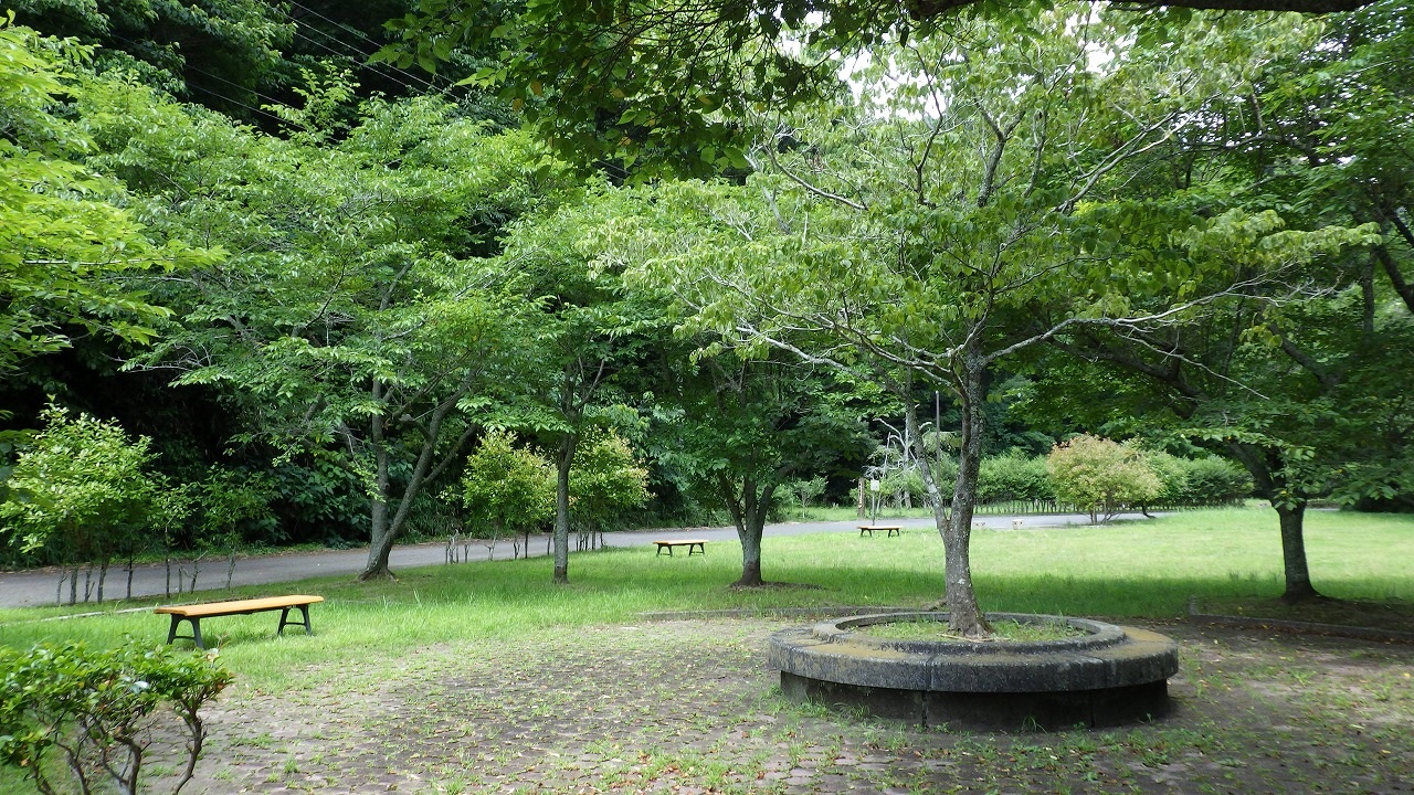 音羽の森公園の入り口付近の写真。ベンチが3台写っており、芝生の広場があります。