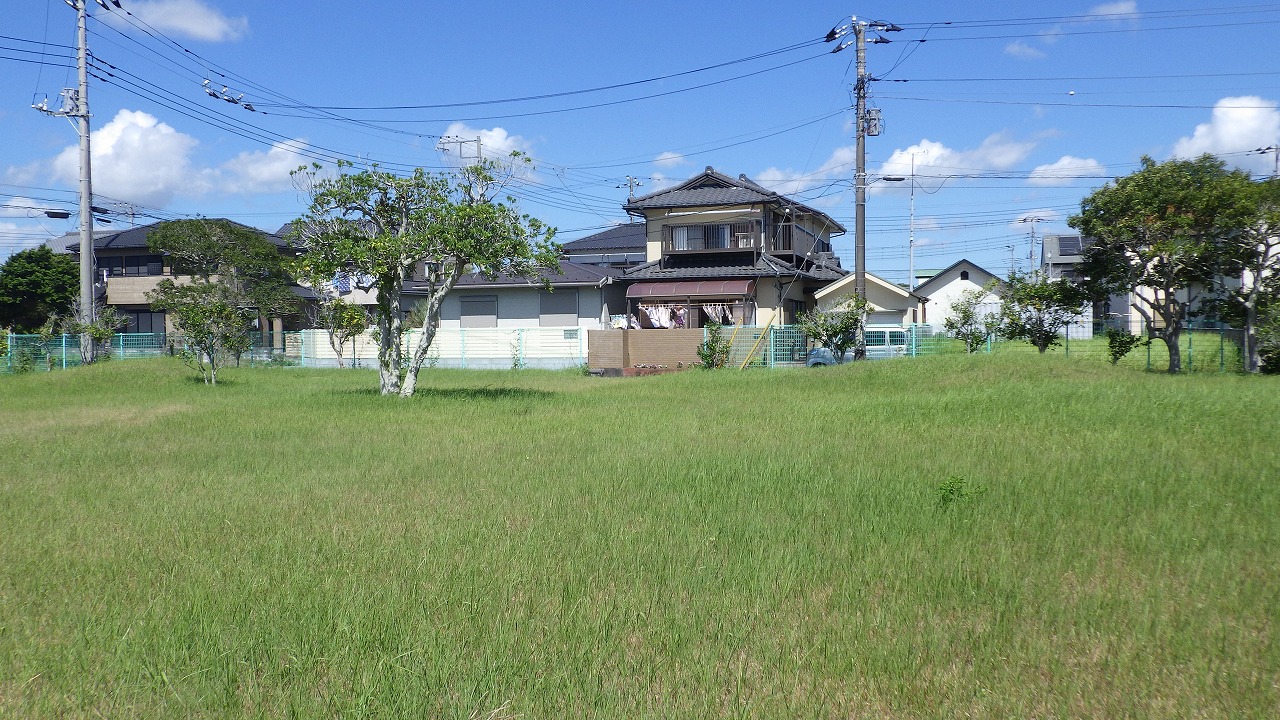 瀬崎児童公園の芝生が写っています。