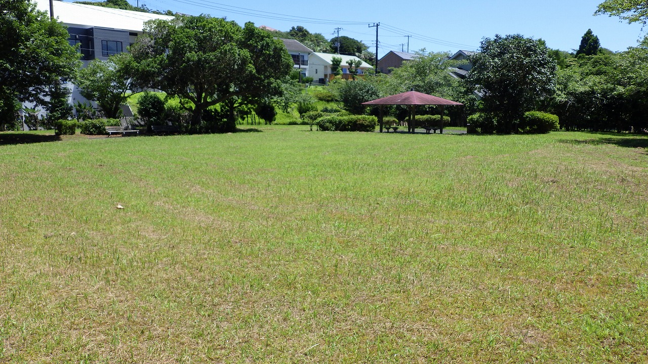 たぶのき公園の芝生広場と奥に東屋が写っています。