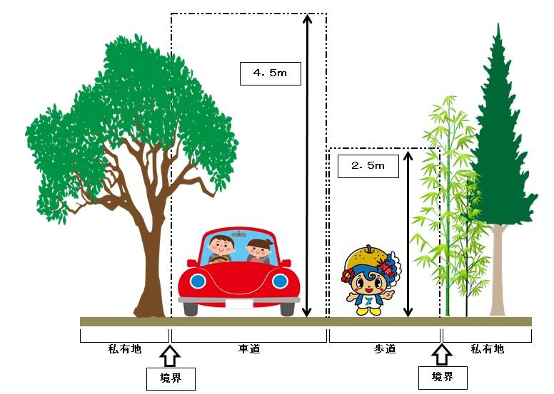道路上に張り出している樹木等の管理についてのイラスト