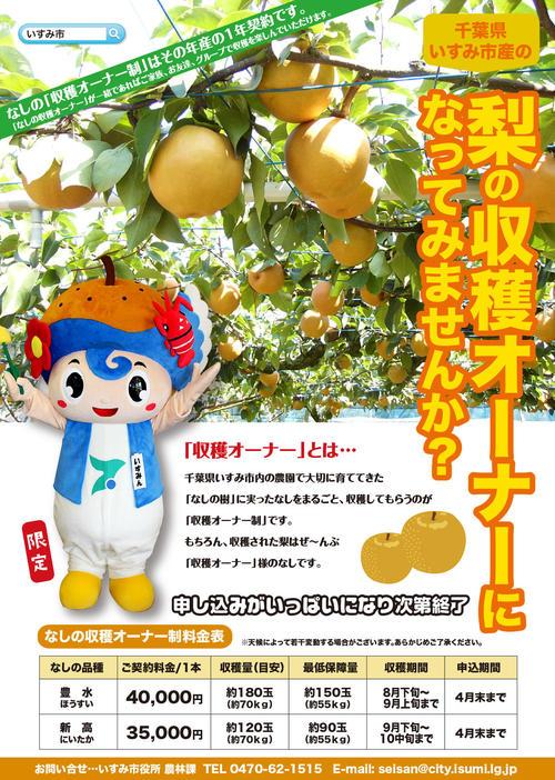 千葉県いすみ市産の梨「収穫オーナー」のチラシ