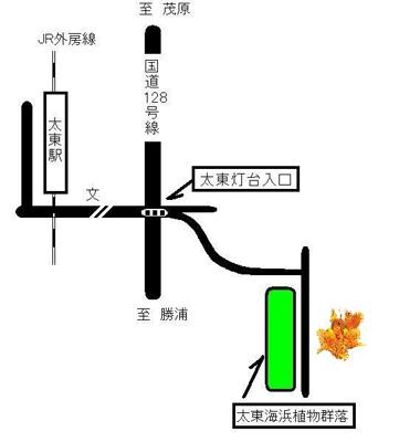 太東駅から太東海浜植物群落までの道筋を示した地図