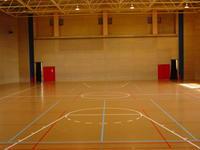 高い天井と、赤い出入り口のドア、床に書かれたバスケットボールのラインが目立つ多目的ホールの写真