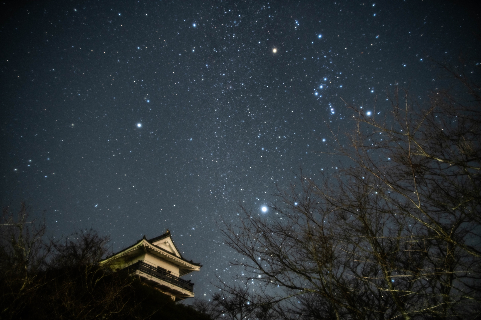 夜空を埋めるように、星々が青白く瞬いており、オリオン座や冬の大三角が鮮明に見え、下側にある木立の間から、天守閣の一部がそびえている万木城公園の写真
